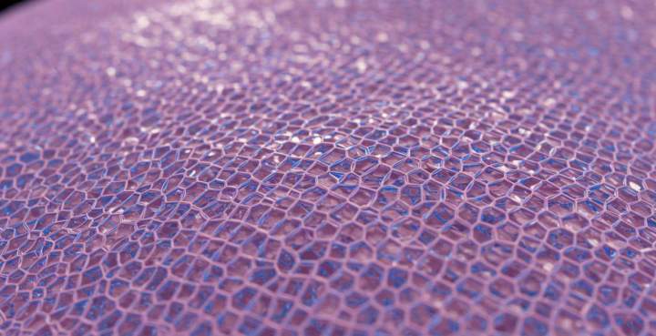 comparatifmembranes armées 